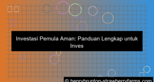 grafik investasi pemula aman
