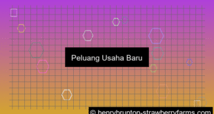 peluang usaha baru