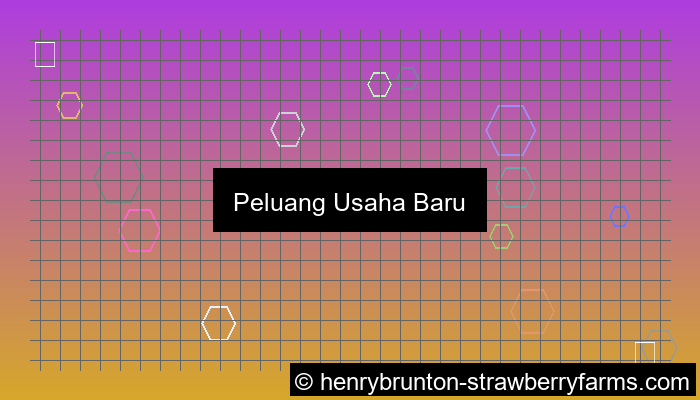 peluang usaha baru