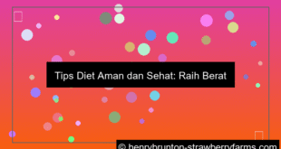 tips diet aman