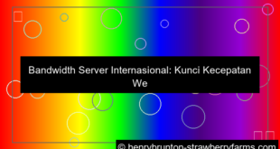 visual bandwidth server internasional