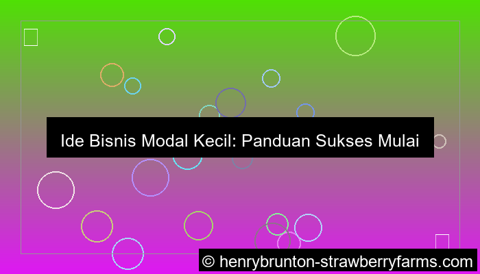 bisnis modal kecil