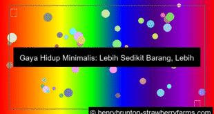 gaya hidup minimalis