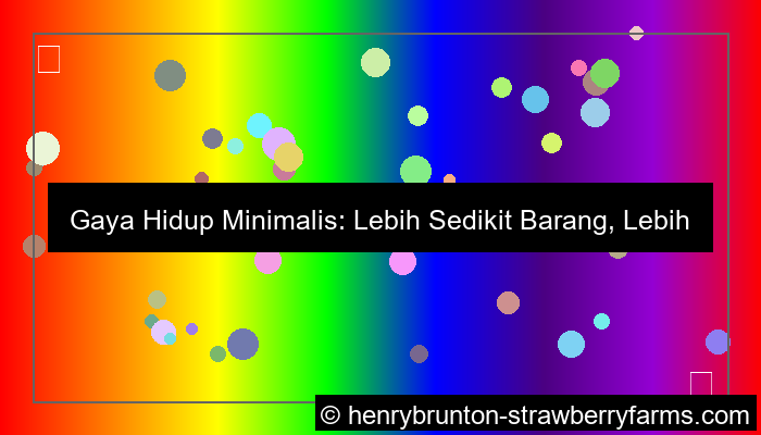 gaya hidup minimalis