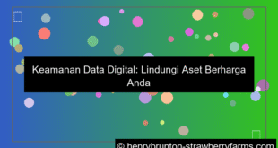 keamanan data digital
