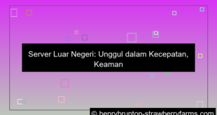 kelebihan menggunakan server luar negeri