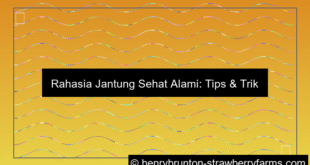 kesehatan jantung alami