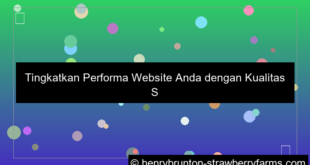 kualitas server luar negeri untuk website