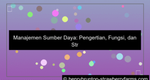 grafik manajemen sumber daya