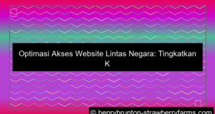 grafik optimasi akses website lintas negara