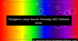visual pengaruh lokasi server untuk SEO