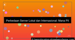 grafik perbedaan server lokal dan internasional