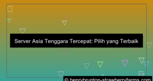 visual server asia tenggara tercepat