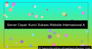 server cepat untuk website internasional