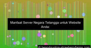 grafik server negara tetangga untuk website