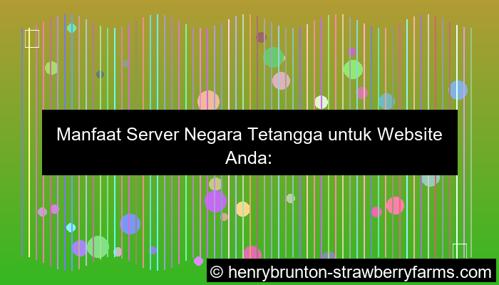 grafik server negara tetangga untuk website