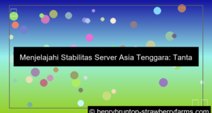 stabilitas server asia tenggara