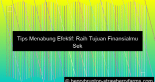 tips menabung efektif
