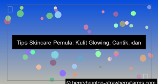 grafik tips skincare pemula