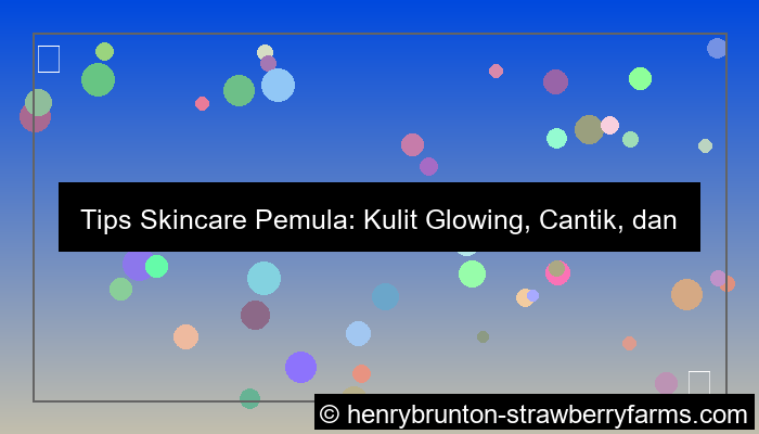 grafik tips skincare pemula