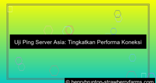 desain uji ping server asia