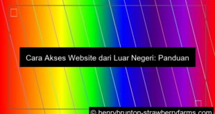 ilustrasi akses website dari luar negeri