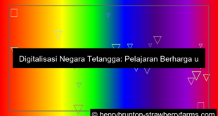 ilustrasi digitalisasi negara tetangga