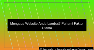 faktor yang mempengaruhi loading website