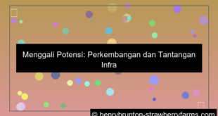 infrastruktur digital asia tenggara