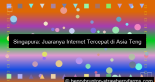 negara asia tenggara dengan internet tercepat