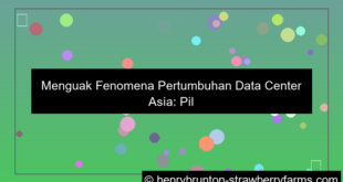 visual pertumbuhan data center asia