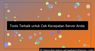 desain tools untuk cek kecepatan server