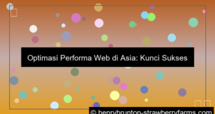 ilustrasi web performance optimization asia